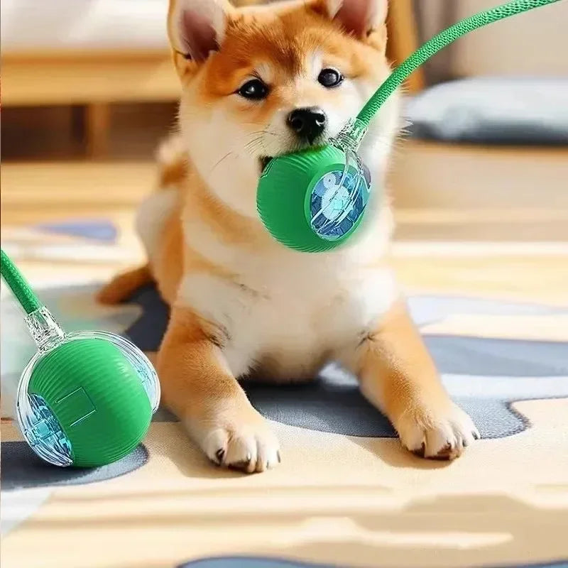 Automatic Rolling Ball Interactive Pet Toy with Rechargeable Electric Function for Cats and Dogs - Imitates Mouse Movement