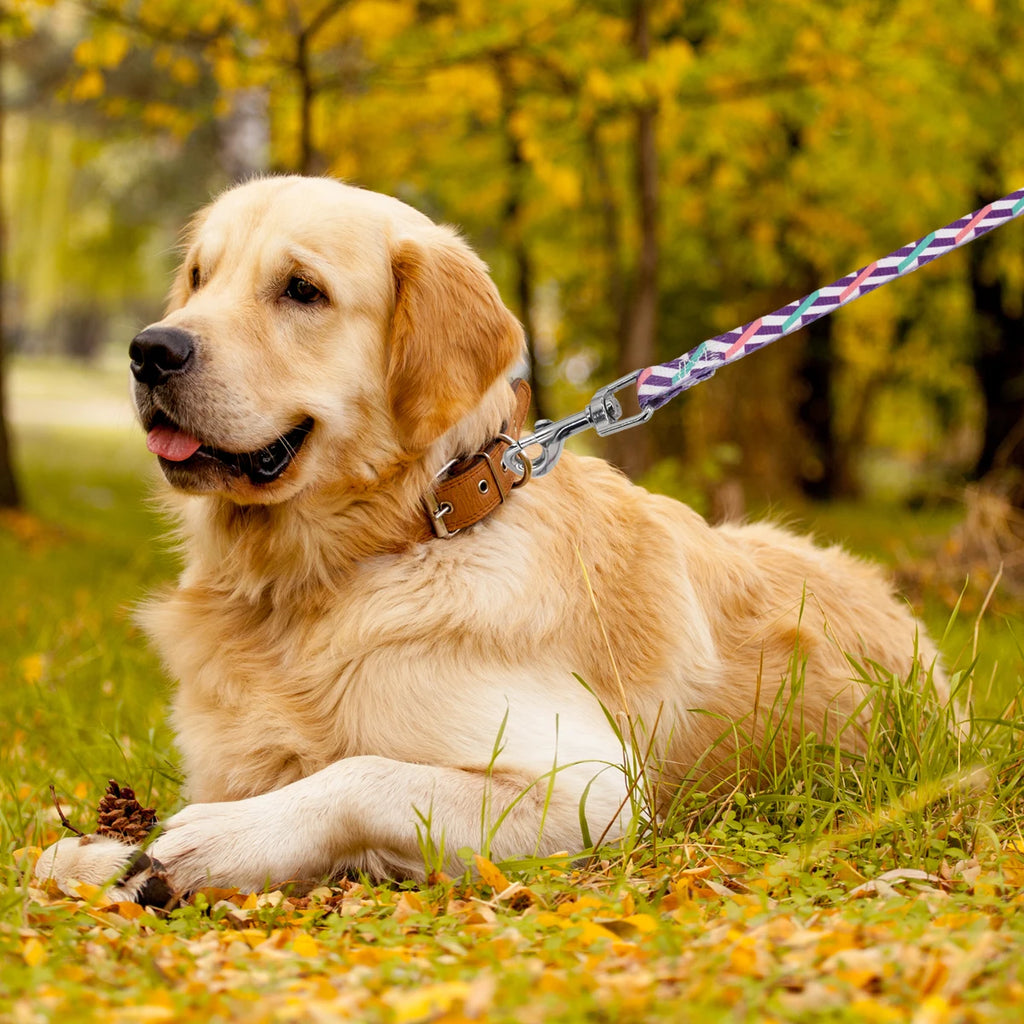 A Pet Leash Cartoon Print Colorful Braided Leash Outdoor Dog Walking Rope