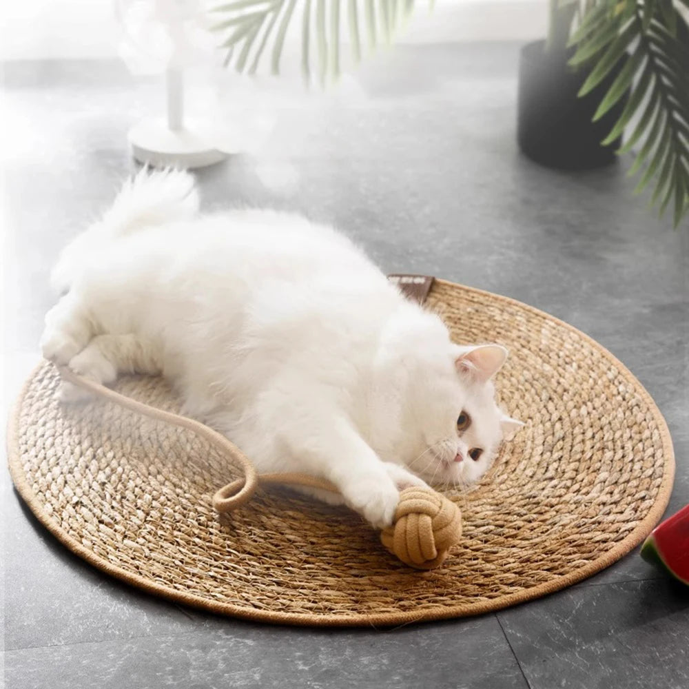 Round Cat Scratching Mat – 40cm Natural Fiber Rope Pad for Claw Care & Lounging
