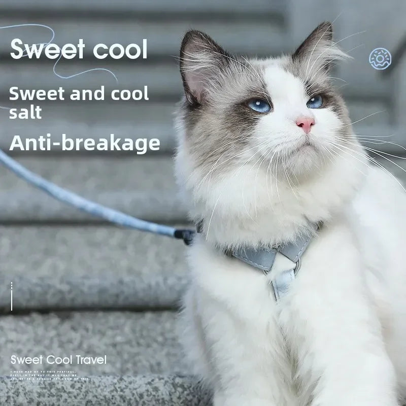 Cat Harness and Leash Set Adjustable Escape Proof Soft Vest Kitten Harness for Outdoor Walking Pet Supplies with Collar