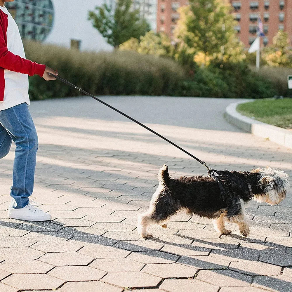 Soft Genuine Leather Dog Leash for Puppies & Small Dogs – Training Lead with Brass Hardware