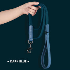 5ft Durable Nylon Dog Leash with Soft PU Leather Handle – Strong Walking Lead for Small Medium and Large Dogs