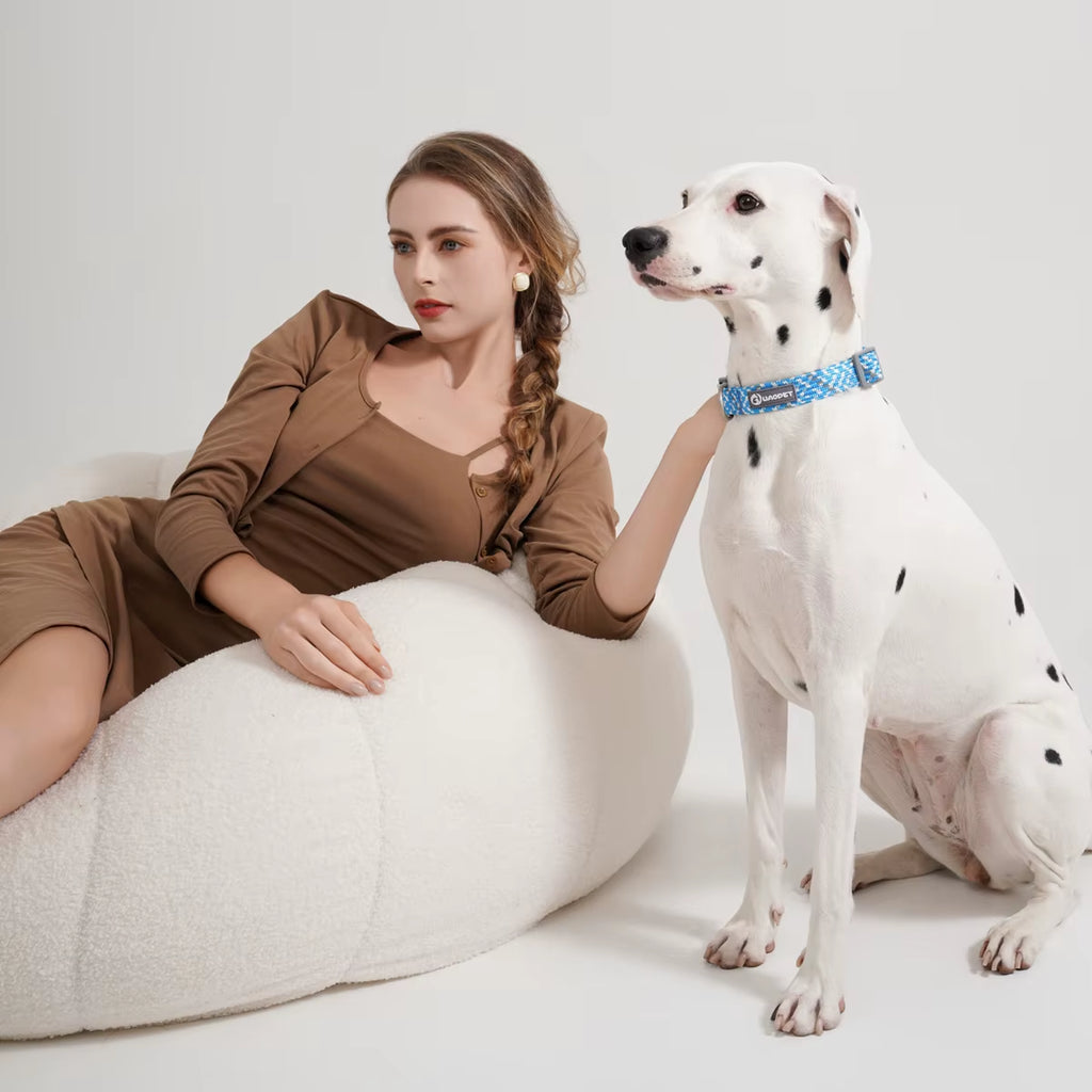 Leashes and Collar Set for Dogs