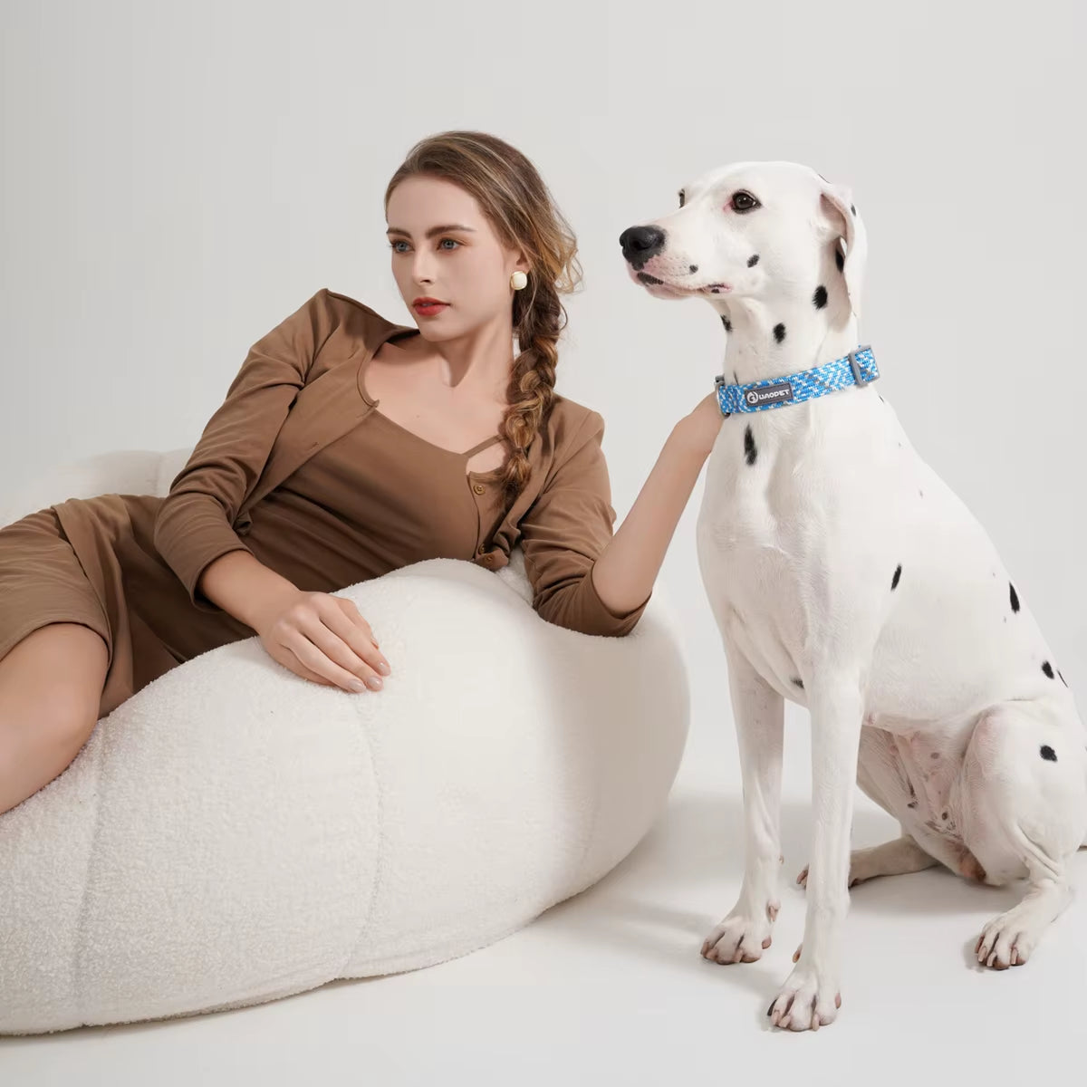 Leashes and Collar Set for Dogs