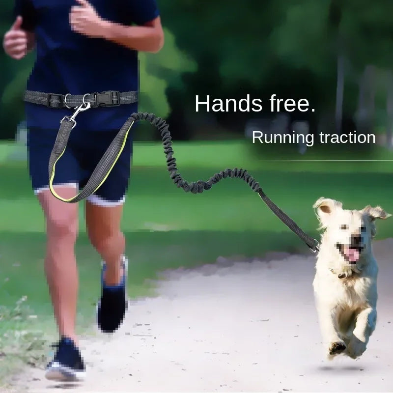 Hands-Free Dog Leash with Adjustable Waist Belt and Shock-Absorbing Bungee - Reflective Running, Jogging, and Walking Traction Rope for Small, Medium, and Large Dogs