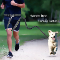 Hands-Free Dog Leash with Adjustable Waist Belt and Shock-Absorbing Bungee - Reflective Running, Jogging, and Walking Traction Rope for Small, Medium, and Large Dogs