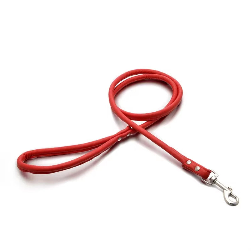 PU Leather Dog Leash – Adjustable Dog Walking Lead with Zinc Alloy Hardware - Red & Black