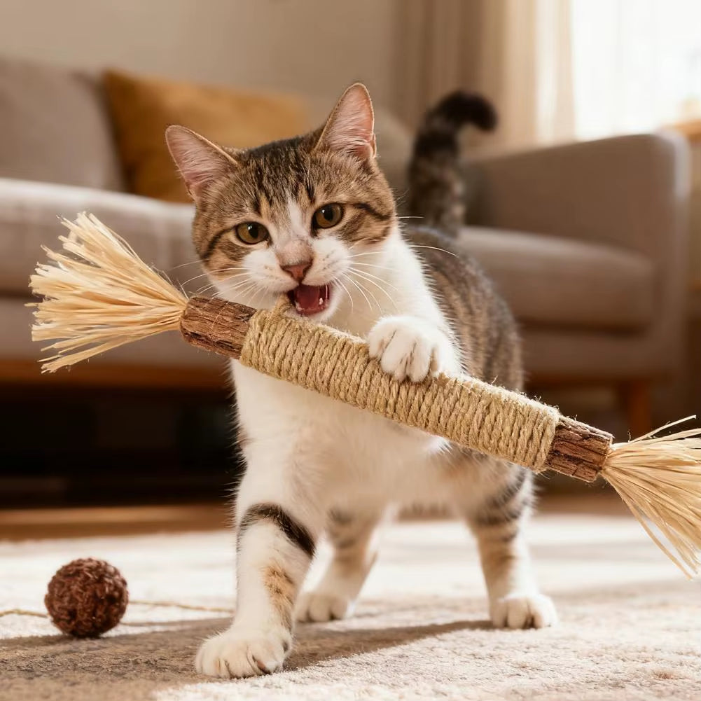 4PCS Natural Teeth Chew Stick Cats Toy Cleaning Cat Interactive Toy Bell Pet Fun Toy for Cats Accessories