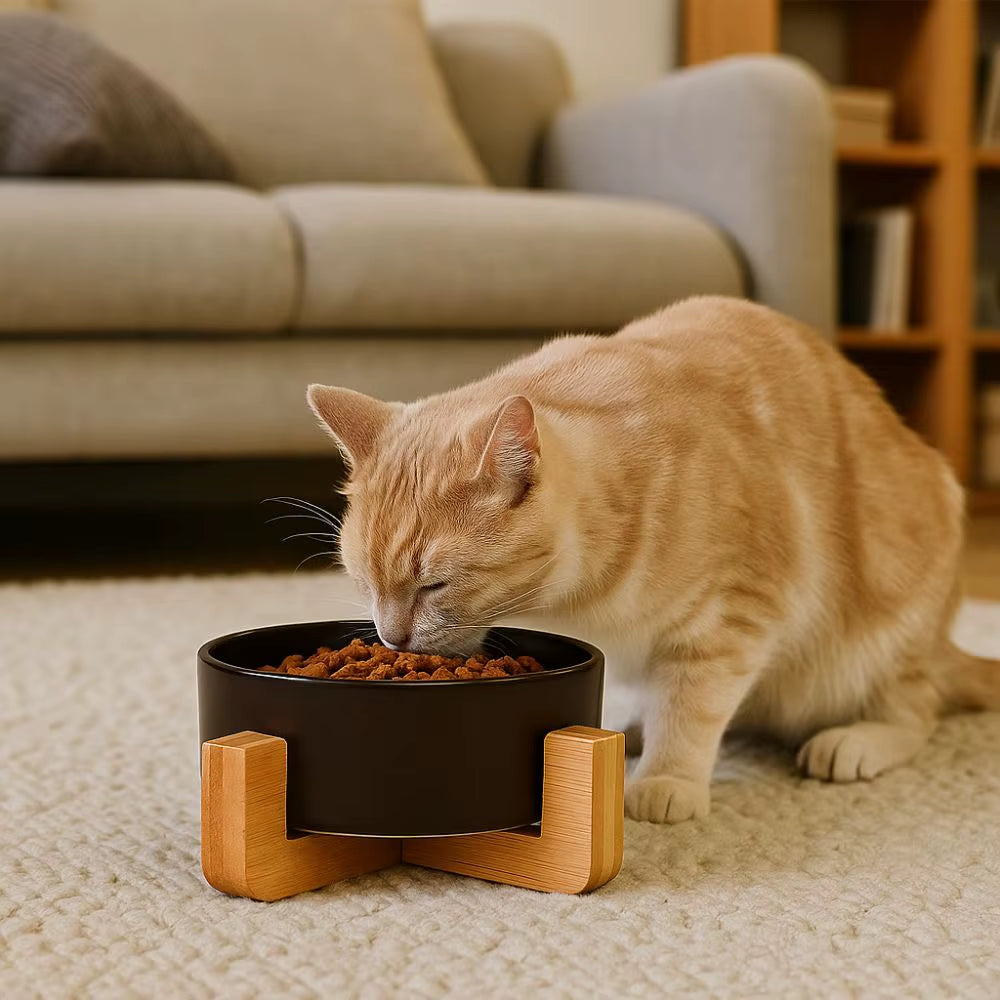 Large Caliber Ceramic Pet Bowls With Wooden Racks