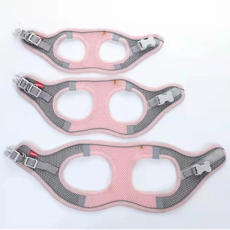 MADDEN Reflective Adjustable Dog Harness Vest and Leash Set for Small to Medium Pets - Breathable Outdoor Walking Solution