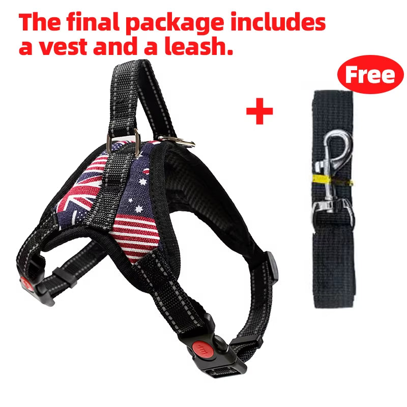 Adjustable Dog Cat Harness with Leash Outdoor Small Medium Large Pet Chest Strap Dog Walking Training No Pull Saddle Vest Collar