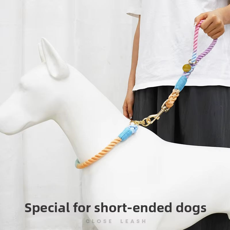 Loudik Wholesale Short-Pull Large Dog Rope Explosion-Proof Pet Traction Rope P-Chain Collar Set Medium and Large Dog Supplies