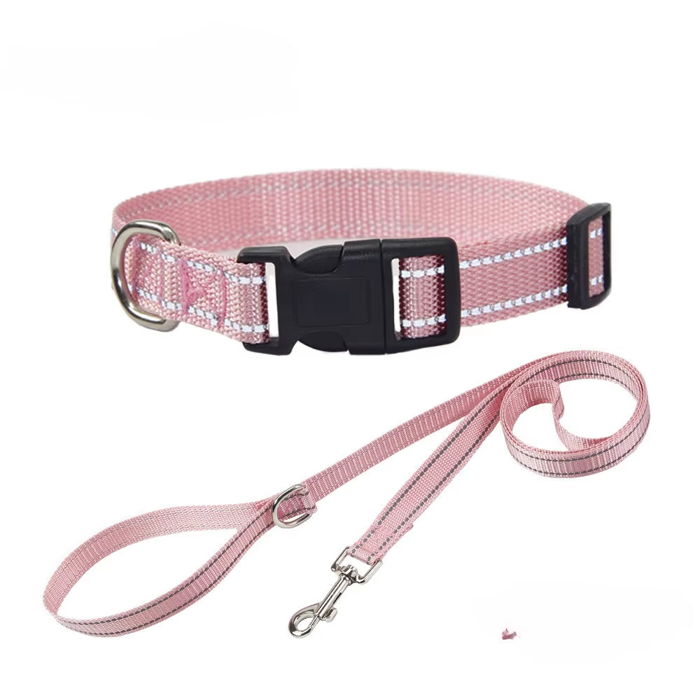 NightGuard Nylon Dog Collar & Leash