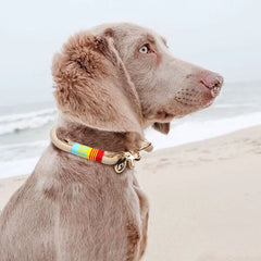 Braided Paracord P-Chain Pet Collar | Luxurious Gold Hardware Adjustable Fashion Neck Ring - Red