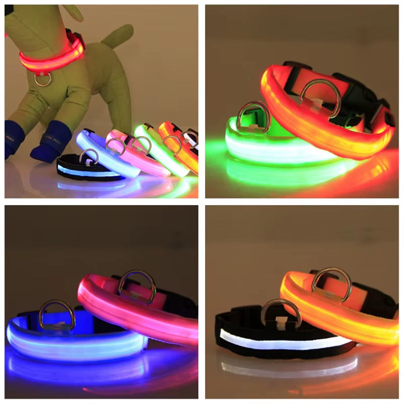 Reflective Nylon LED Pet Dog Collar Safety Night Walking Flashing Glow in the Dark Pet Luminous Dog Accessories Collar