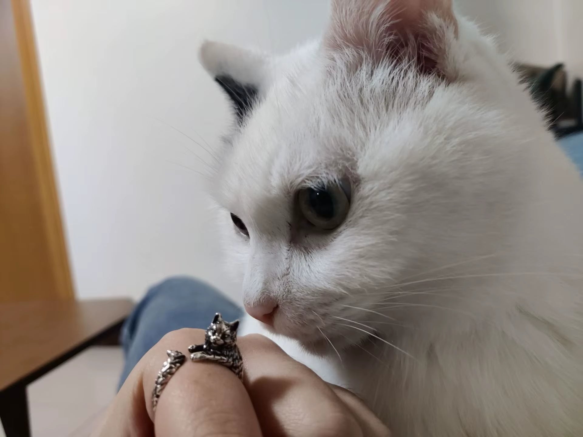 Gothic Silver Adjustable Retro Cat Ring for Men and Women - Handmade Unisex Pet Jewelry Gift
