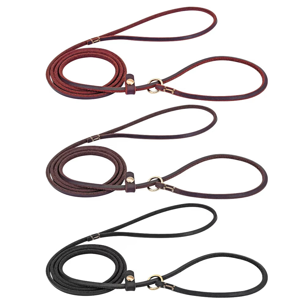 4Ft/5Ft Leather Dog Leash P Chian Collar Traction Lead Rope for Chihuahua Bulldog Small Dogs Leashes Slip Collars Pet Supplies