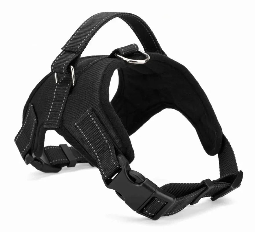 A sleek Midnight Stealth Black adjustable dog harness with high-tenacity nylon webbing and impact-resistant buckles.