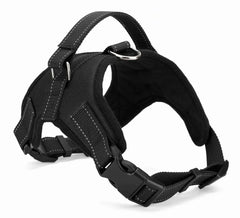 A sleek Midnight Stealth Black adjustable dog harness with high-tenacity nylon webbing and impact-resistant buckles.