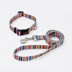 A vibrant rainbow-striped polyester pet collar and leash set featuring a heavy-duty black quick-release buckle.