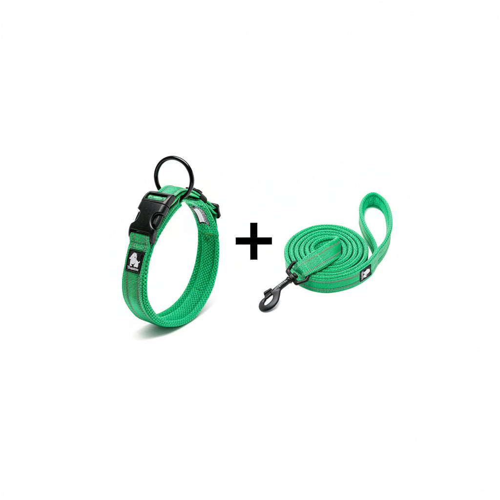A bright glacier mint green adjustable pet collar and leash set with integrated safety reflective piping for all-weather walking security.