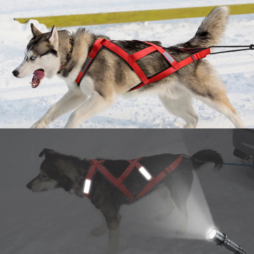 Professional Dog Sledding & Weight Pulling Harness - Reflective Waterproof Skijoring Vest - Heavy-Duty Padded Training Harness for Large Dogs