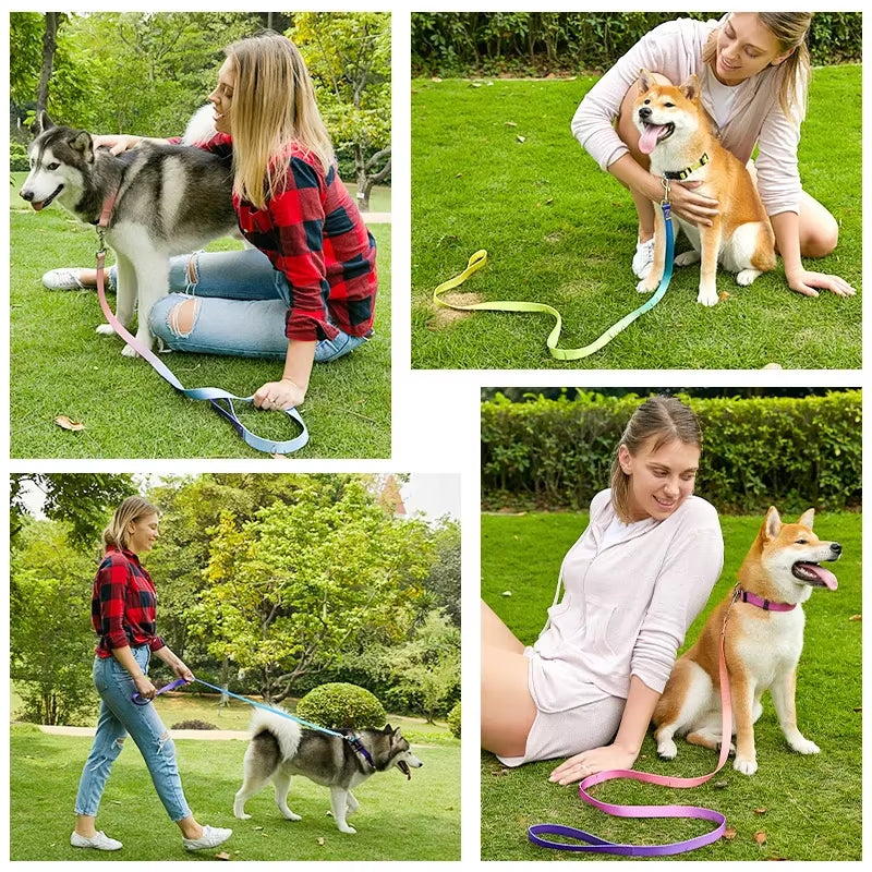 Nylon Adjustable Dog Collar Leash Lead Pet Cat Dog Collar Traction Leash Suitable for Small Large Dogs Bulldog Pugs Beagle