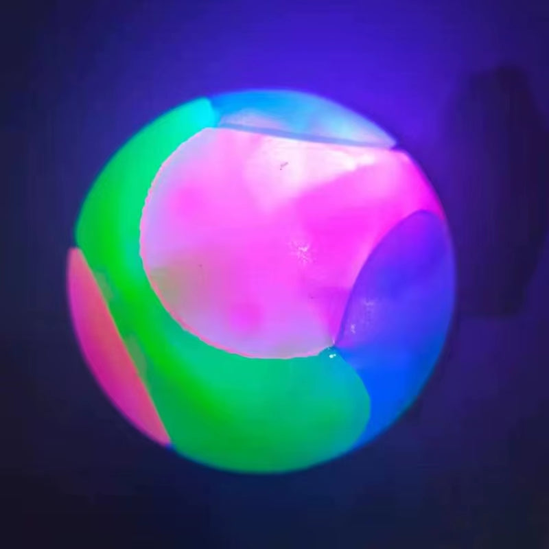 Dogs Glowing Elastic Ball For Training