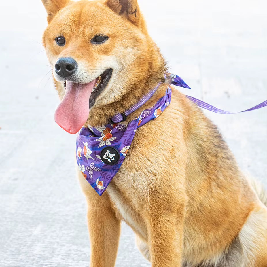 Fashion Floral Pet Bandanas