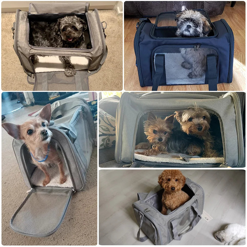 Large Capacity Pets Carrying Bad - Horizontal Shape