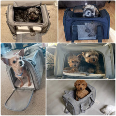 Large Capacity Pets Carrying Bad - Horizontal Shape
