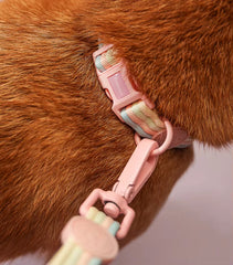 Iridescent Color-Block Dog Collar Leash & Comfort Harness