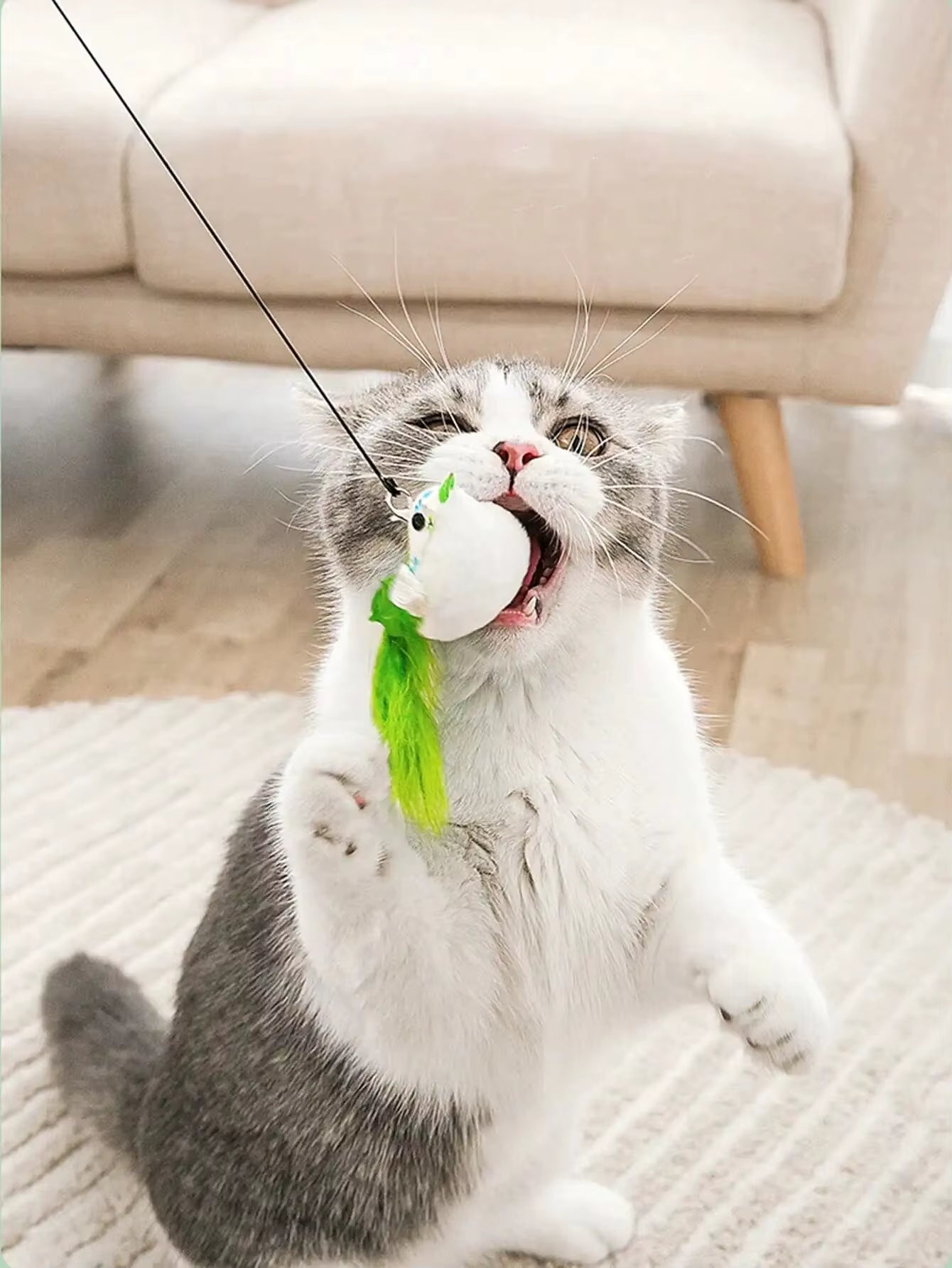 Interactive Cat Toy – Simulated Bird with Suction Base, Feather & Bell for Indoor Play