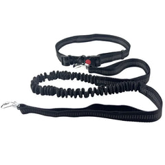 Hands-Free Dog Leash with Adjustable Waist Belt and Shock-Absorbing Bungee - Reflective Running, Jogging, and Walking Traction Rope for Small, Medium, and Large Dogs