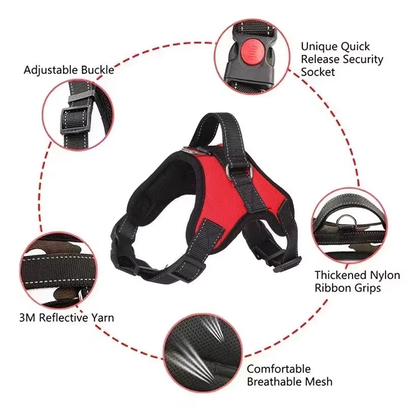 Adjustable Pet Harness with Leash for Dogs and Cats - No-Pull Saddle Vest for Outdoor Walking and Training, Suitable for Small, Medium, and Large Pets