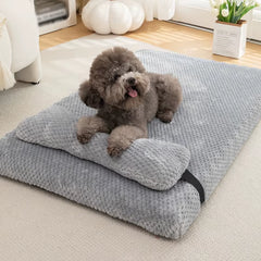 Pets Mats And Pillow Set - Pawzation Special
