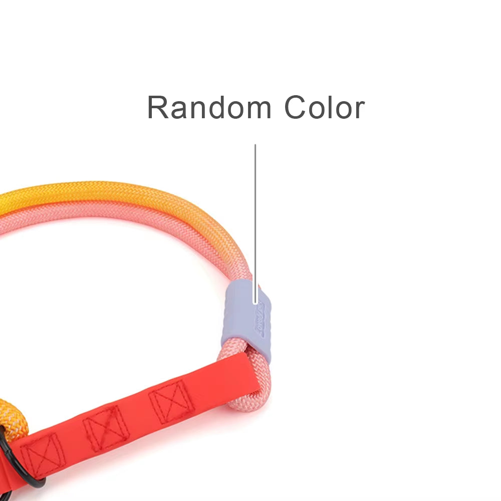 Colorful Dog Collar P Chain Necklace Puppy Collar Pet Accessories