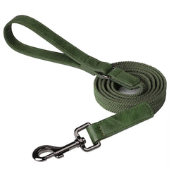 5ft Durable Nylon Dog Leash with Soft PU Leather Handle – Strong Walking Lead for Small Medium and Large Dogs