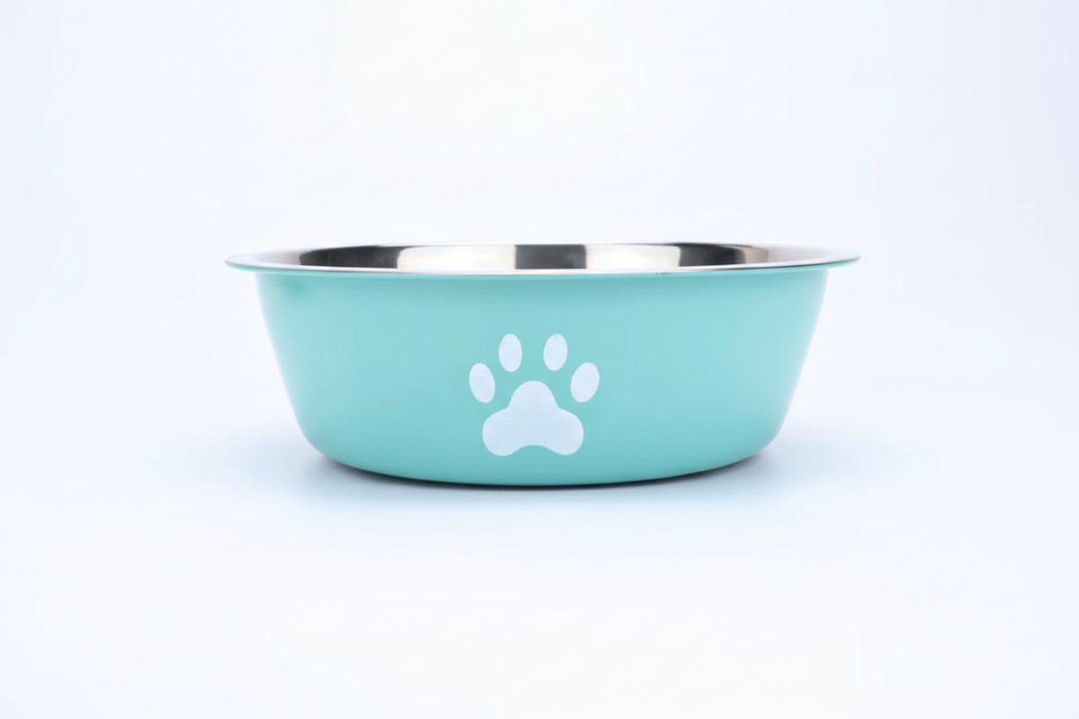 Blue double-layer stainless steel dog and cat bowl with anti-slip base,