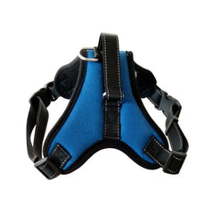 A Royal Sapphire Blue mesh puppy harness featuring a lightweight design and secure metal D-ring for daily walking.