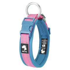 Pink and blue padded dog collar showing the secure alloy O-ring, quick-release buckle, and reflective safety threads.
