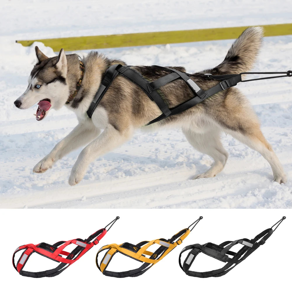 Professional Dog Sledding & Weight Pulling Harness - Reflective Waterproof Skijoring Vest - Heavy-Duty Padded Training Harness for Large Dogs