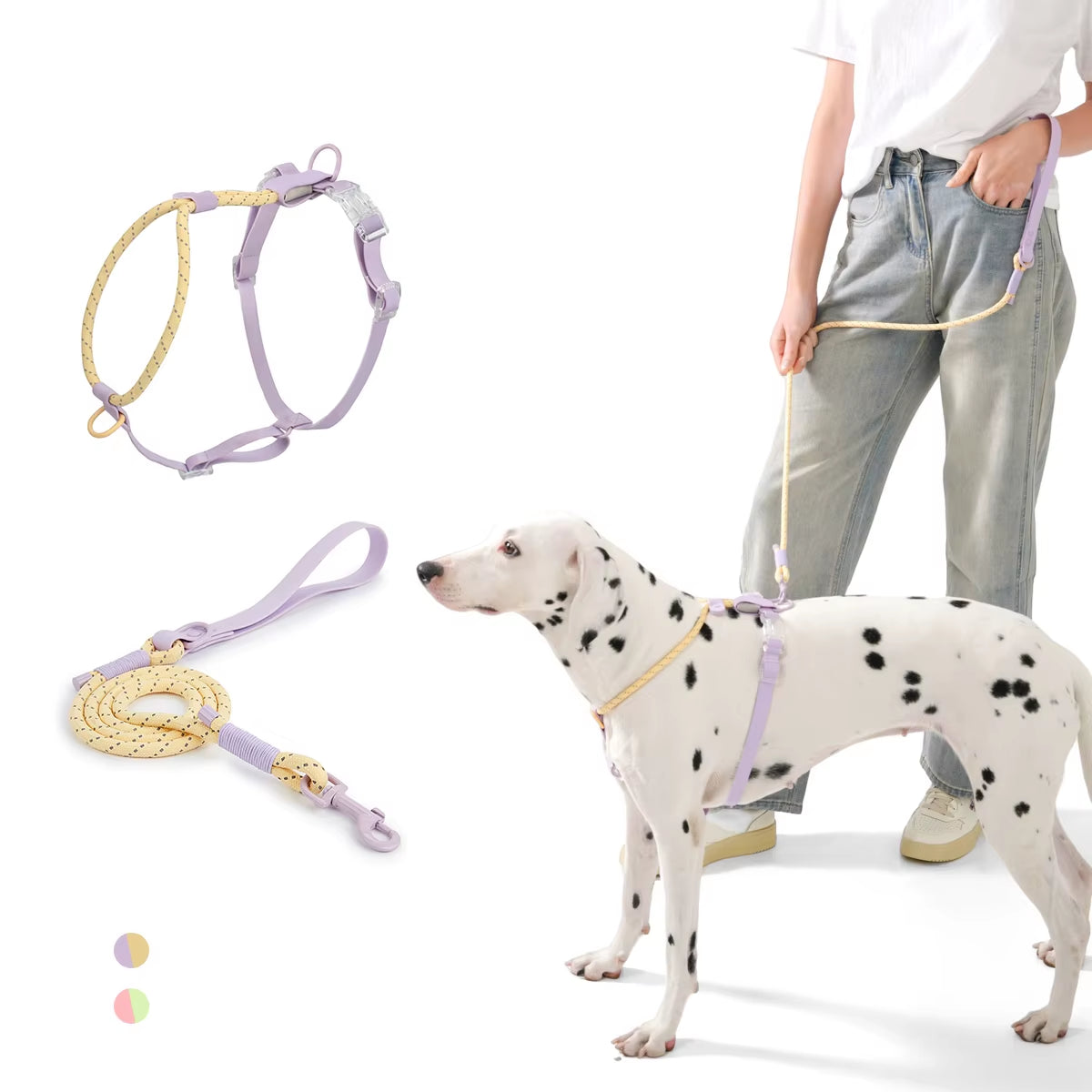 Dogs Leash Harness Set - Summer Special - No Pull Safety Reflective Nylon Leashes