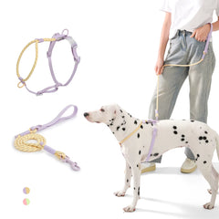 Dogs Leash Harness Set - Summer Special - No Pull Safety Reflective Nylon Leashes