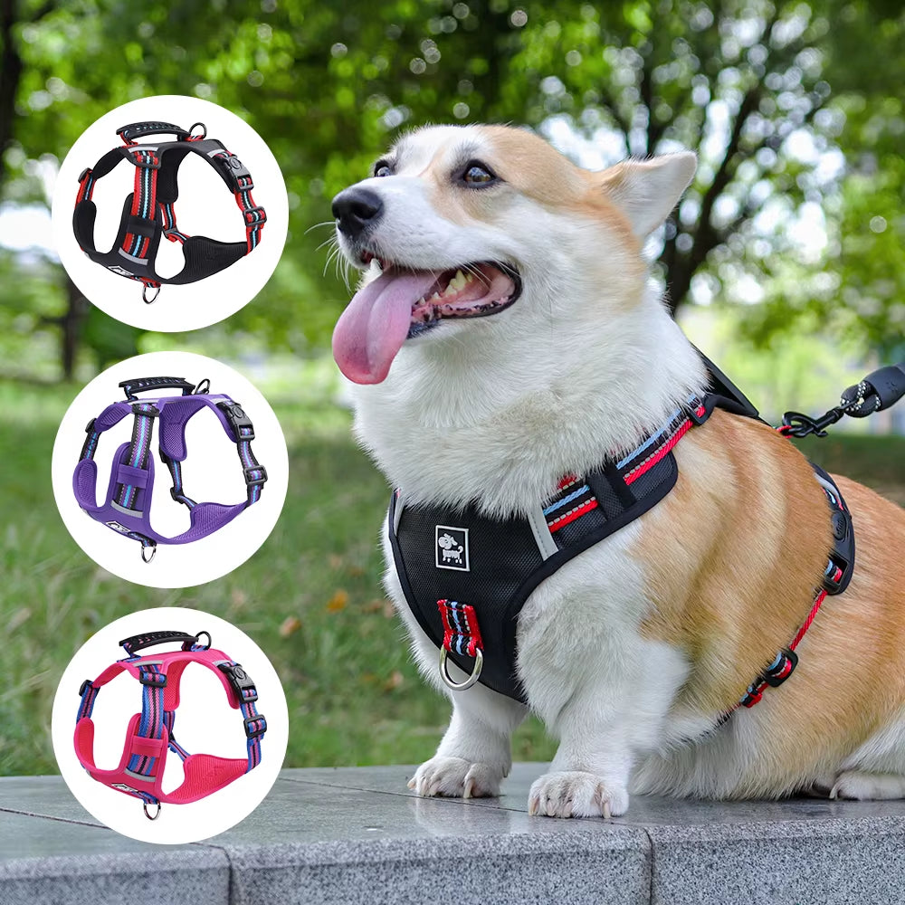 Pet Dog Harness Handle Puppy Collar Large Dog Lead Lightweight Walking Explosion-Proof Lift Dog Travel Harnesses Dog Leash