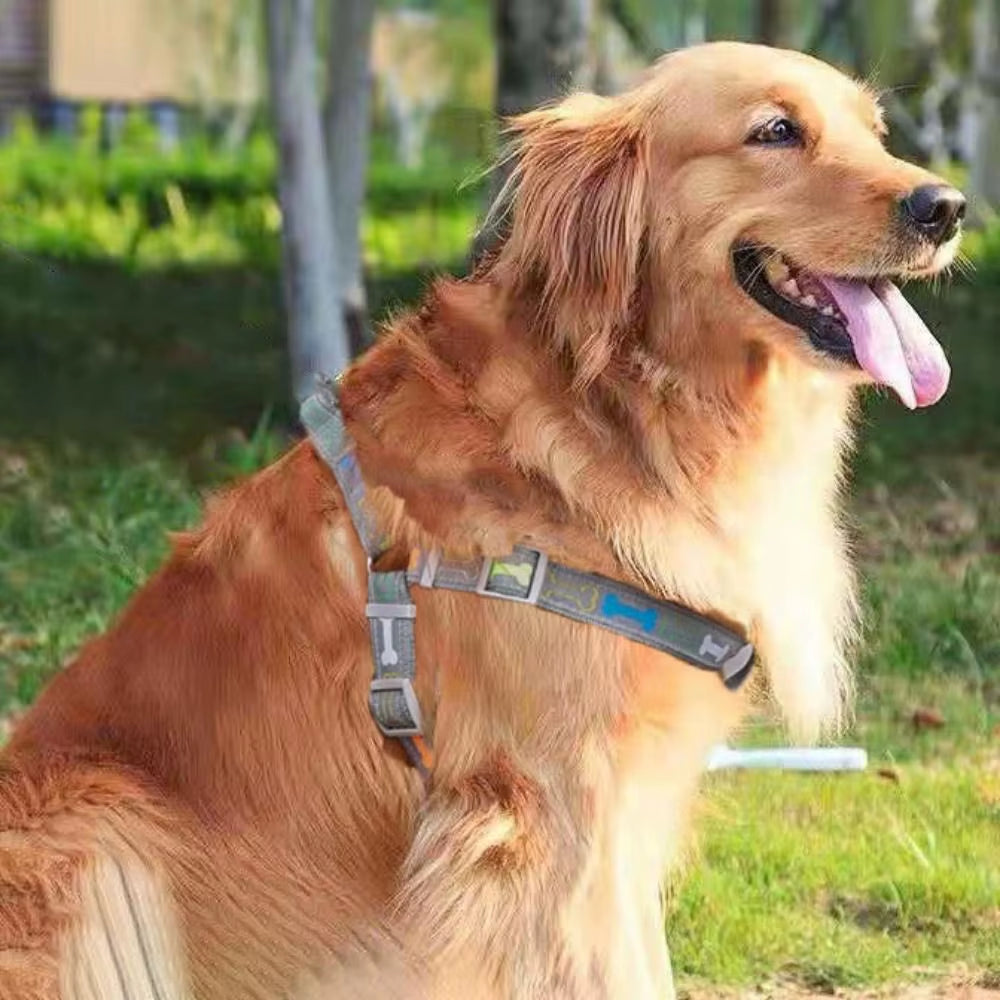 Adjustable Colorful Bone Dog Harness Vest Anti-Breakaway Wear-Resistant Dog Chest Harness with Rope Polyester