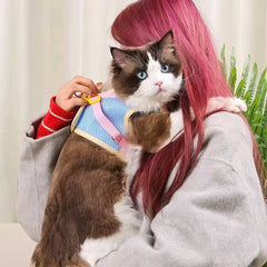 Puppy Dog Reflective Pet Harness and Leash Set for Dog &Cat No Pull Dog Vest Harness with Breathable Mesh Chest Straps