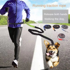 Hands-Free Dog Leash with Adjustable Waist Belt and Shock-Absorbing Bungee - Reflective Running, Jogging, and Walking Traction Rope for Small, Medium, and Large Dogs
