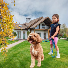 Fashion&Cool Heavy Duty Dog Leash Especially Large Dogs，Reflective Dog Walking Training Shock Absorbing Bungee Car Seat Belt