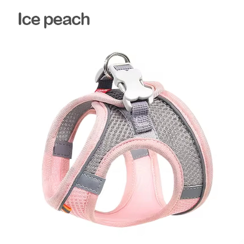 MADDEN Reflective Adjustable Dog Harness Vest and Leash Set for Small to Medium Pets - Breathable Outdoor Walking Solution